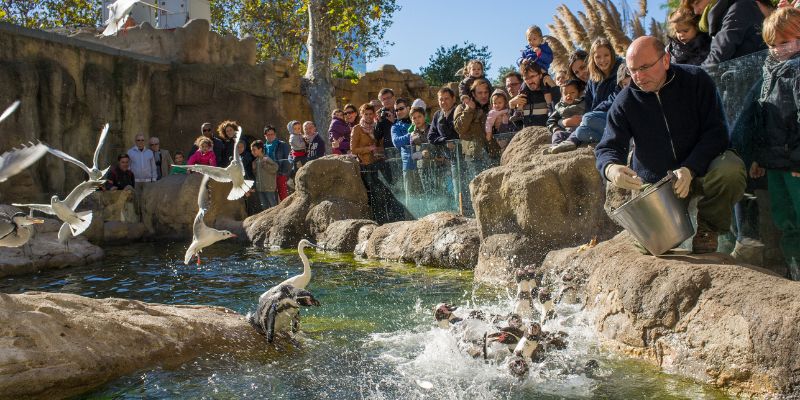 Do you think zoos are a good place for wild animals?