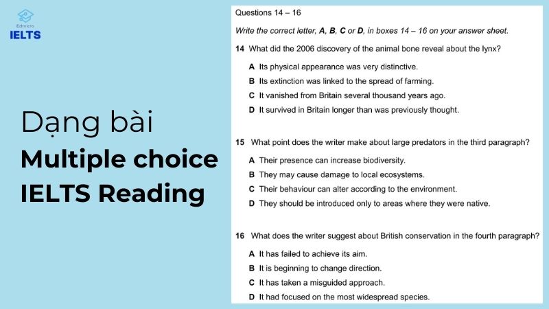 Định dạng bài Multiple choice IELTS Reading