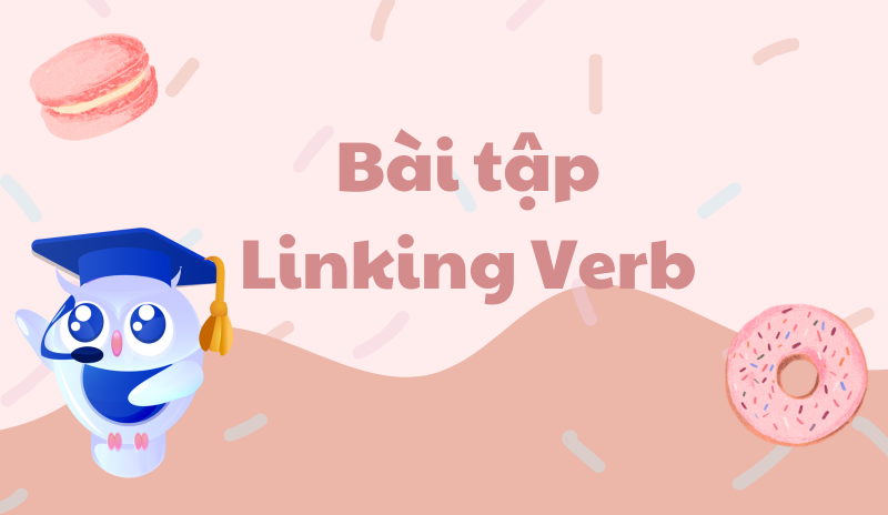 Bài tập về Linking Verb