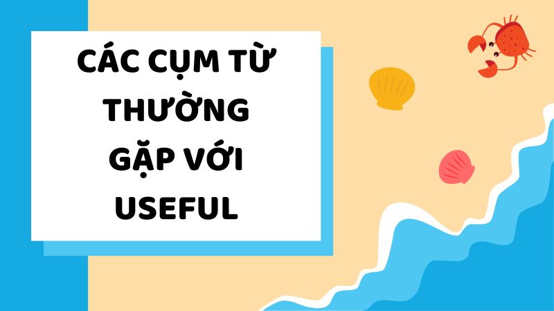 Các cụm từ thường gặp với Useful