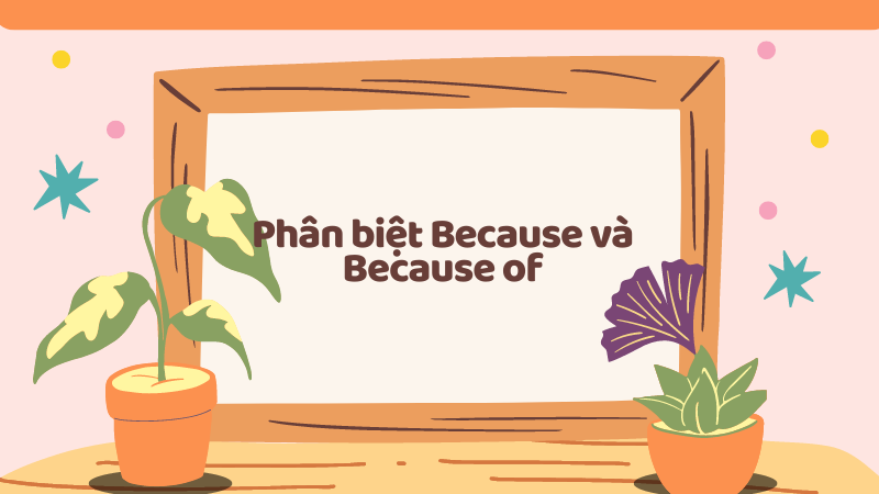 Phân biệt Because và Because of