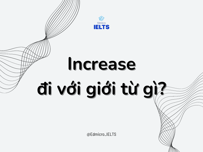 Insist đi với giới từ gì?