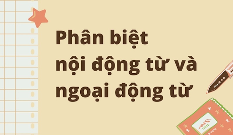 Phân biệt nội động từ và ngoại động từ