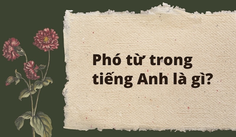 Định nghĩa phó từ