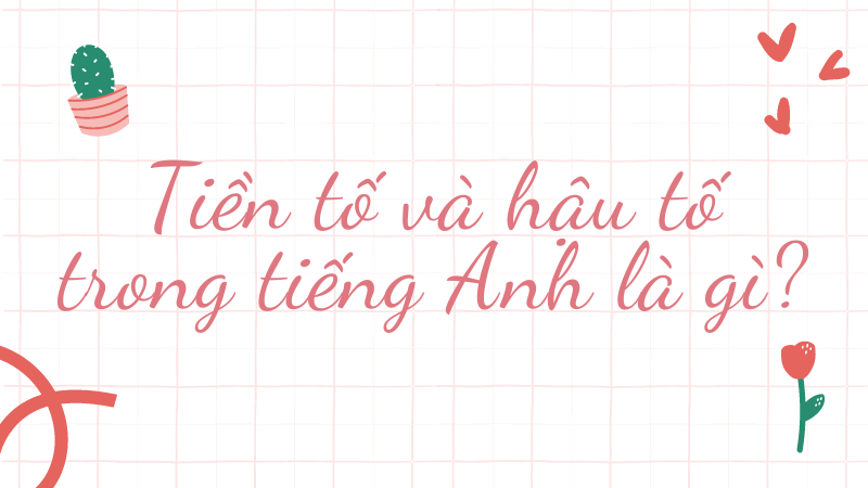 Tiền tố và hậu tố trong tiếng Anh là gì?