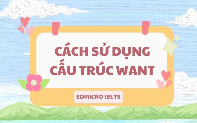 Cách sử dụng cấu trúc Want