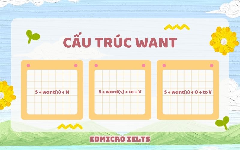 Cấu trúc Want