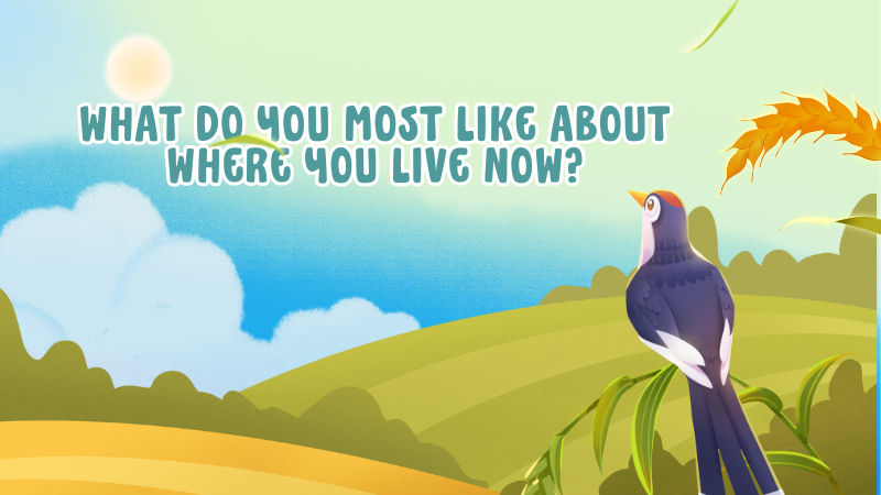 What do you most like about where you live now?