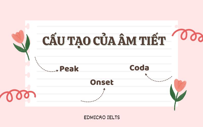 Cấu tạo của âm tiết