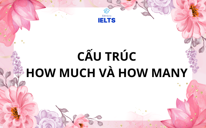 Cấu trúc how much và how many