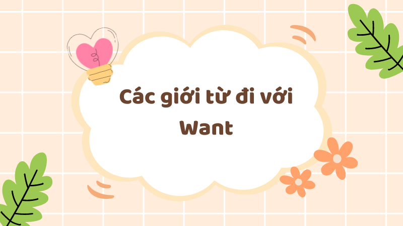 Các giới từ đi với Want