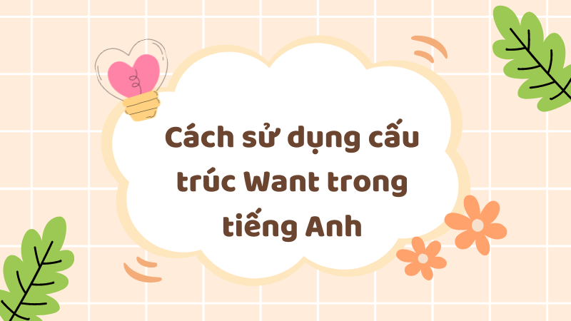 Cách sử dụng cấu trúc Want trong tiếng Anh