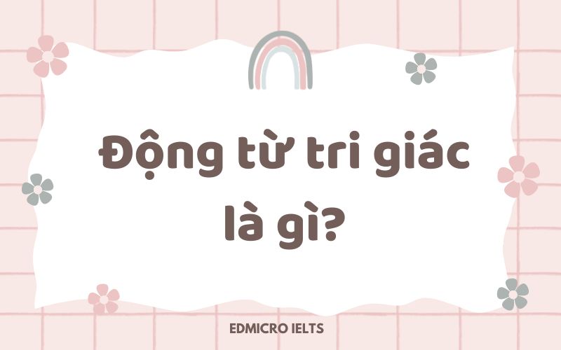 Động từ tri giác là gì?