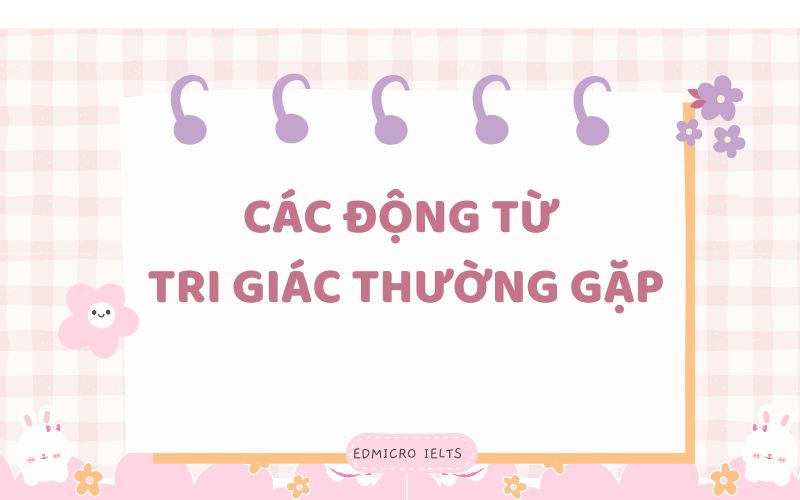 Các động từ thường gặp