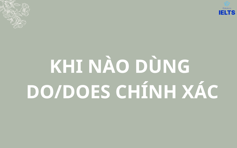 Khi nào dùng do/does chính xác