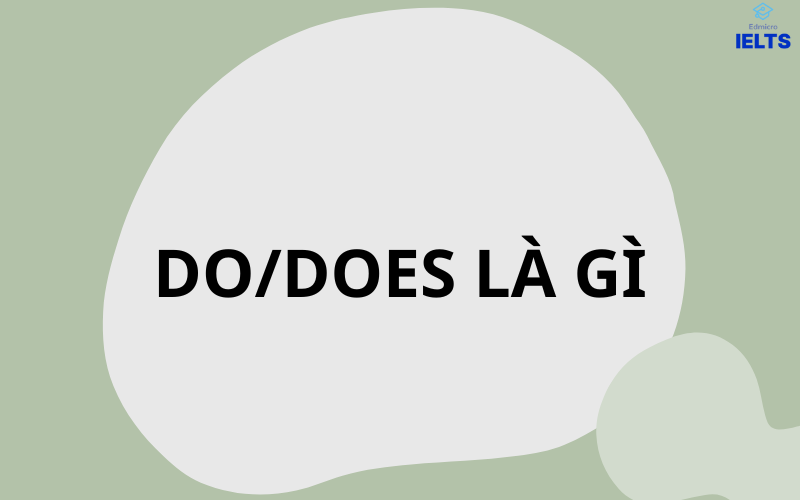 Do/does là gì