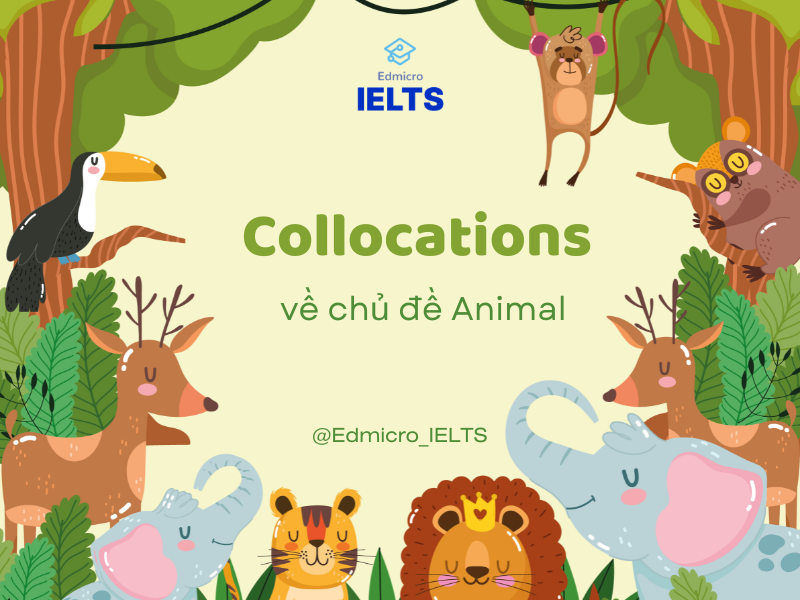 Collocations về chủ đề animal phổ biến