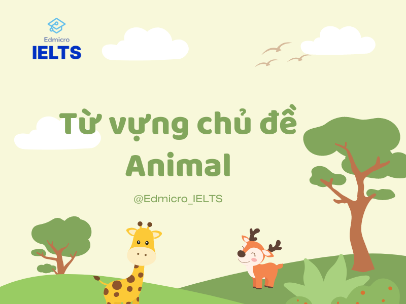 Từ vựng chủ đề animal