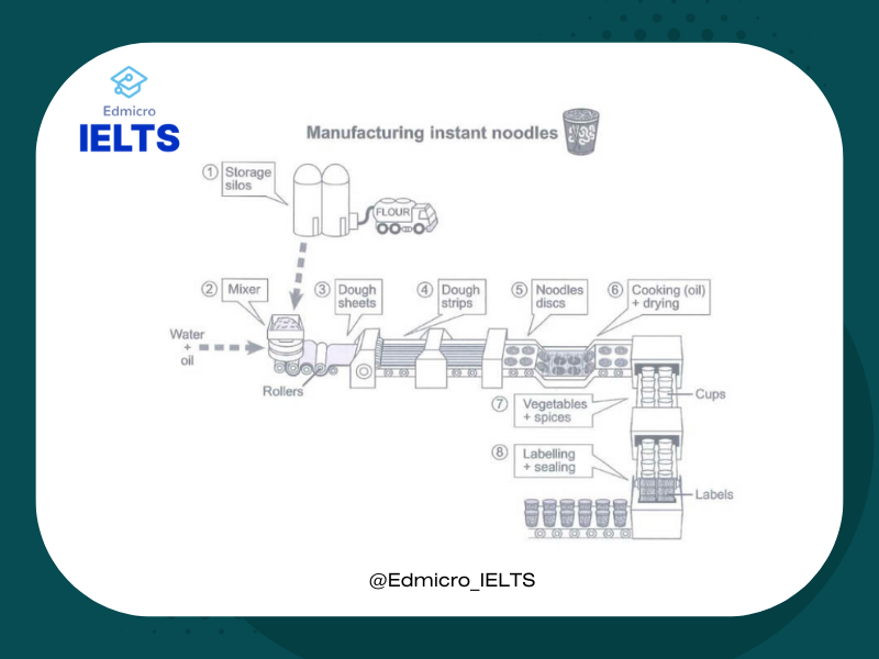 Tìm hiểu về dạng bài Process trong IELTS Writing Task 1