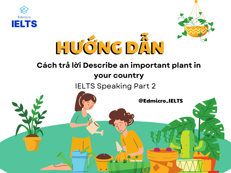 Gợi ý cách trả lời Describe an important plant in your country Part 2