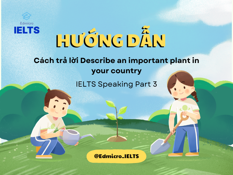 Gợi ý cách trả lời Describe an important plant in your country Part 3