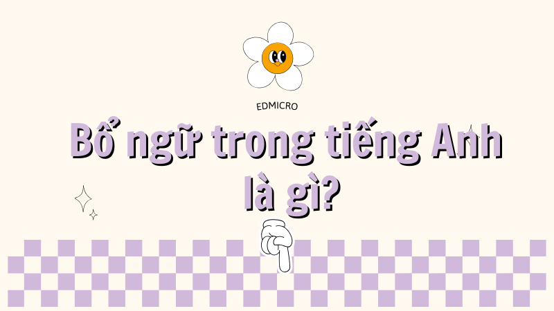 Bổ ngữ trong tiếng Anh là gì?