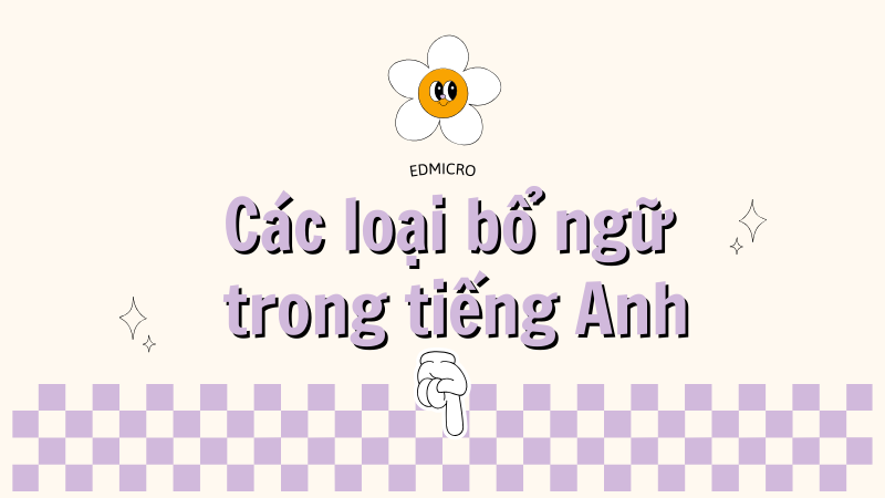 Các loại bổ ngữ trong tiếng Anh