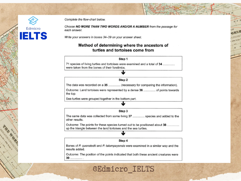 Đề mẫu dạng bài Flow Chart Completion IELTS Listening- Nghe và điền từ còn thiếu