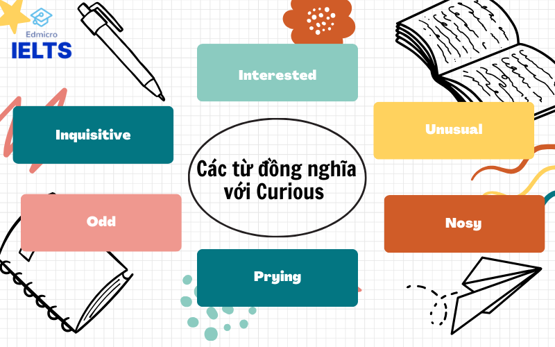 Các từ đồng nghĩa với từ curious 