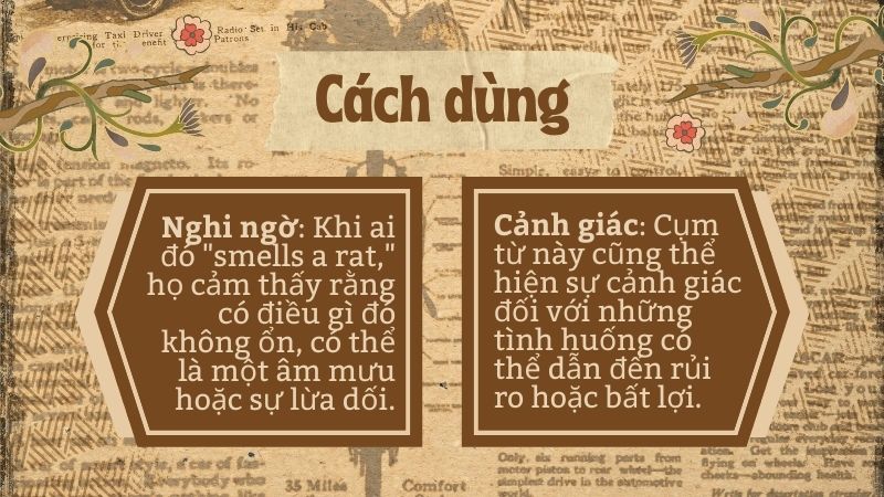 Cách dùng smell a rat