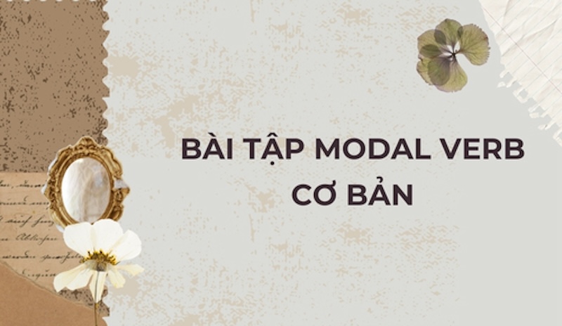 Bài tập cơ bản