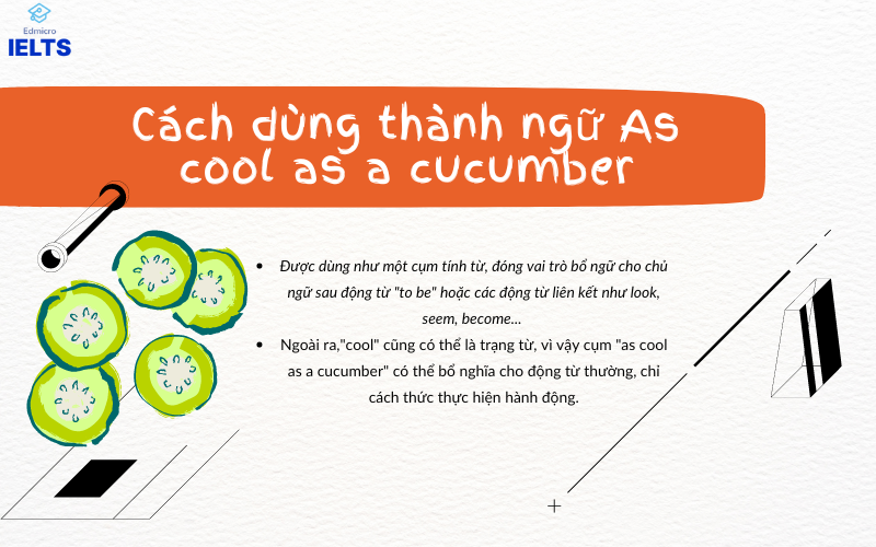 Cách sử dụng as cool as a cucumber