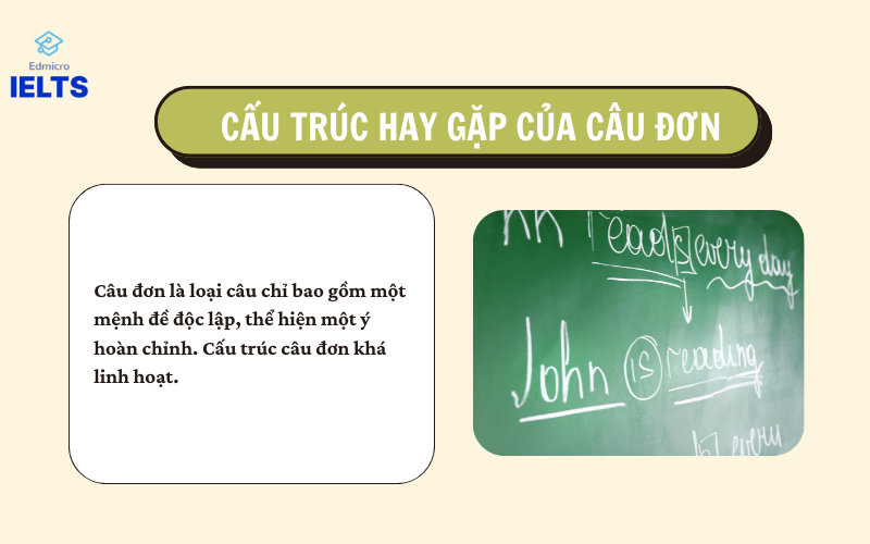 Cấu trúc câu đơn