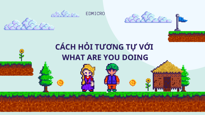 Cách hỏi tương tự 