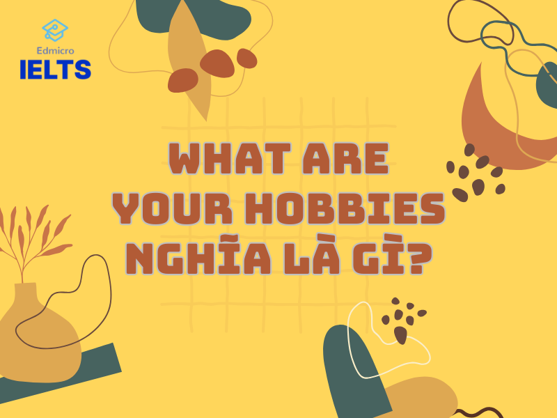 What Are Your Hobbies nghĩa là gì?