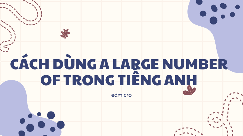 Cách dùng A large number of trong tiếng Anh
