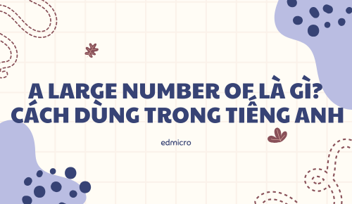 A Large Number Of Là Gì? Cách Dùng Trong Tiếng Anh