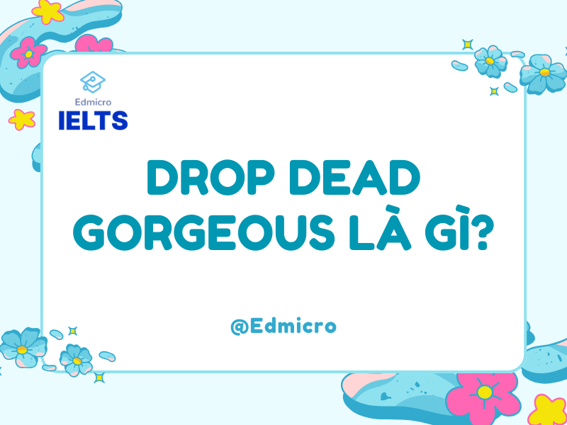 Drop Dead Gorgeous là gì?
