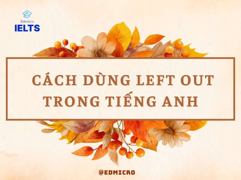 Cách dùng Left Out trong tiếng Anh