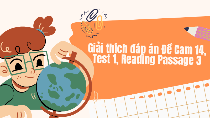 Giải thích đáp án Đề Cam 14, Test 1, Reading Passage 3