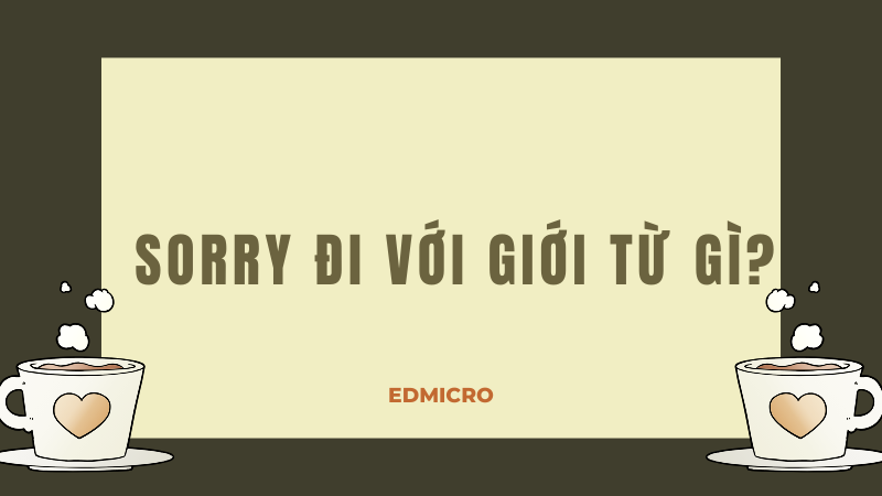 Sorry đi với giới từ gì?