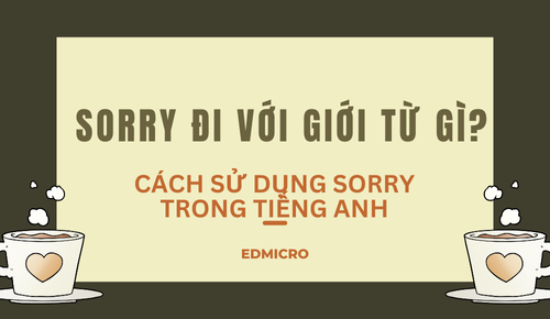 Sorry Đi Với Giới Từ Gì? Cách Sử Dụng Sorry Trong Tiếng Anh