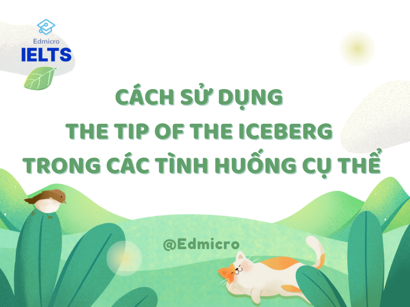 Cách sử dụng The Tip of the Iceberg trong các tình huống cụ thể