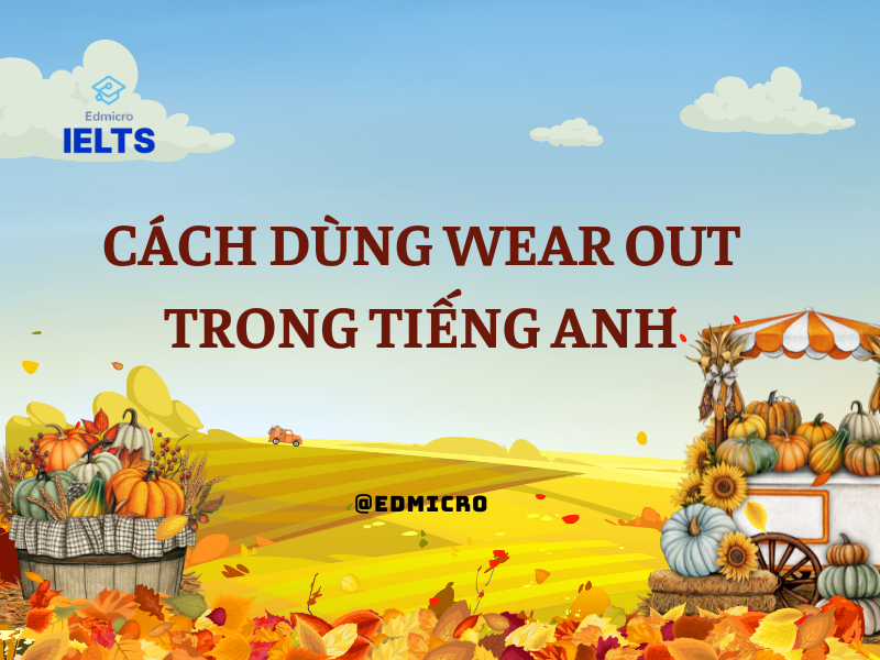 Cách dùng Wear Out trong tiếng Anh