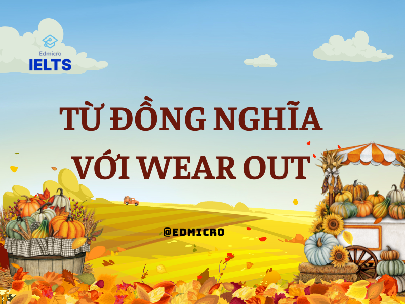 Từ đồng nghĩa với Wear Out