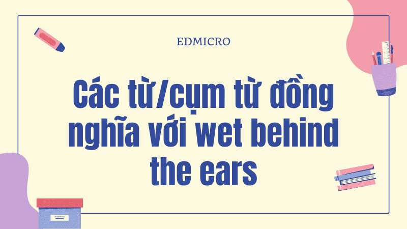 Các từ/cụm từ đồng nghĩa với wet behind the ears