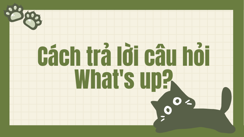 Cách trả lời câu hỏi What's up?