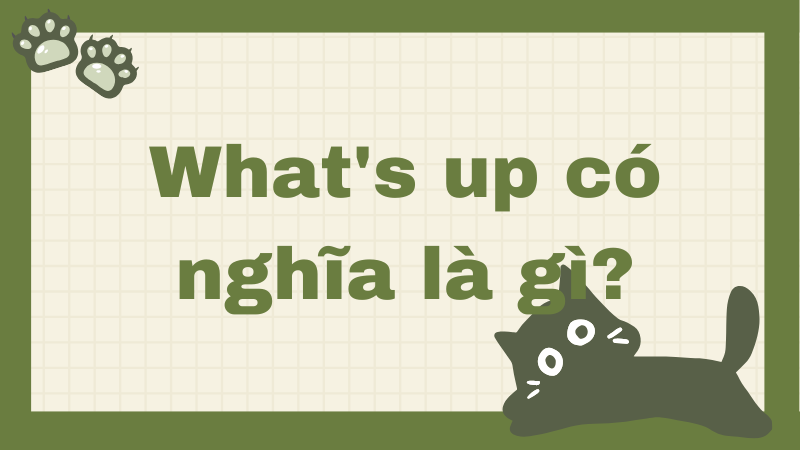 What's up có nghĩa là gì?