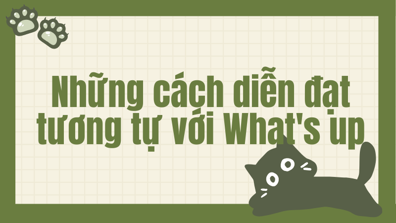 Những cách diễn đạt tương tự với What's up