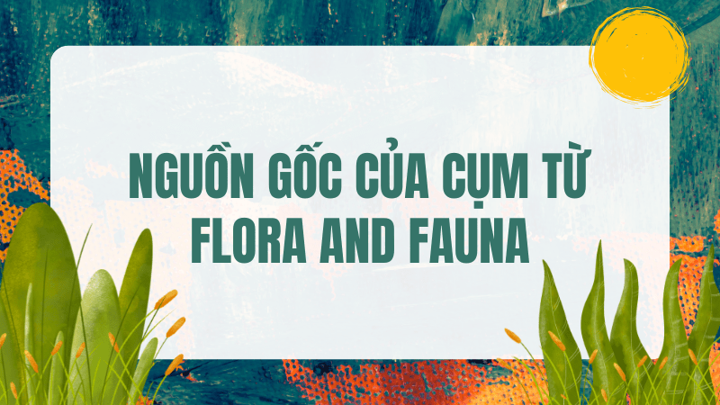 Nguồn gốc của cụm từ flora and fauna